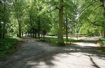 Therapie Den Haag Therapie Den Haag