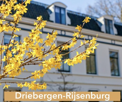 Hypnotherapie Driebergen-Rijsenburg